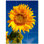 6'' x 6'' Satin Ceramic Decorative Mural
