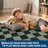 Washable Scalloped Rug Modern Checkerboard Rug Non Slip, Soft Non Shedding Thin Carpet, Indoor Low Pile Foldable Carpet, Contemporary Printed Mat for Living Room Bedroom-418811797