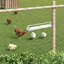 Steel Fence Panels Fencing-131439723