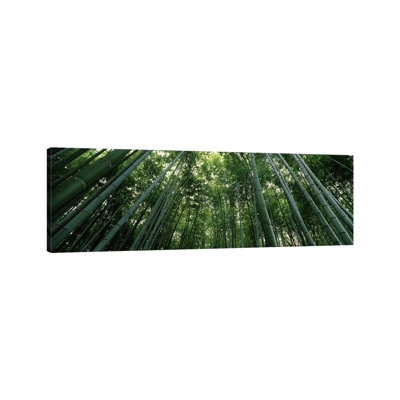 Low Angle View Of Bamboo Trees, Arashiyama, Kyoto Prefecture - Wrapped Canvas Panoramic Print