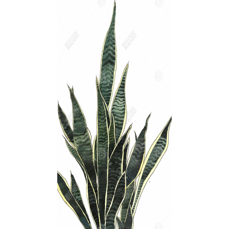 Snake plant - 15.75"x31.50" Desk mat