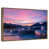 Floating Frame Gold