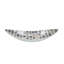 SHELL CRAFT OVAL PLATE