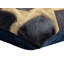 Coussins décoratifs en cuir de vache Canvello-100569574-100569573