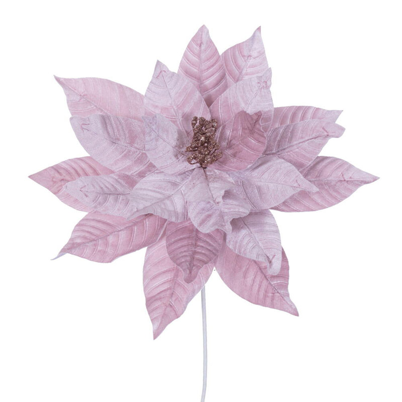 Tiges de poinsettia Clementina, Rose