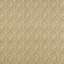 Fellows Fabric