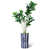 Tique bleue