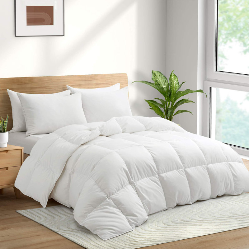 600in³/oz Fill Power All Season Down Blend Down Comforter, Queen Down Comforter