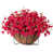 Rose est en rupture de stock