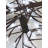 Cherry Blossom Tree Clear and RGB LED Lighted Tree
