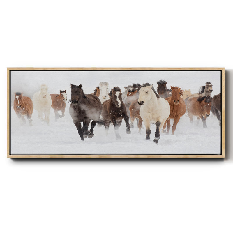 Pasture Run - toile encadrée, H 20 po x l 50 po