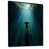 Black Floater Framed