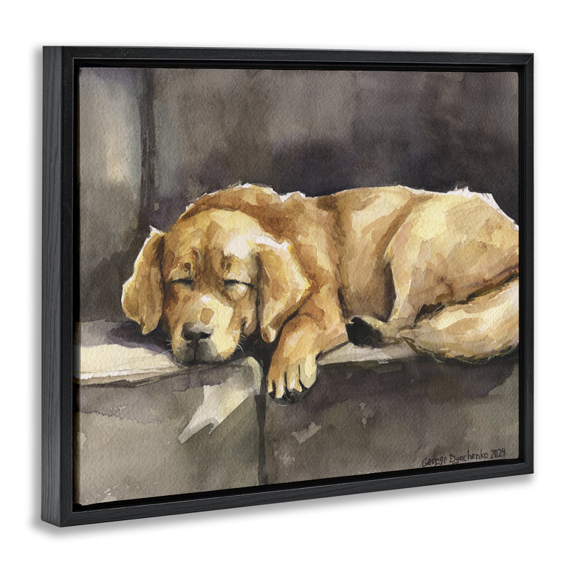 «Sleeping Golden Retriever», art mural encadré par George Dyachenko, H 17 po x l 21 po, Cadre flottant noir de jais