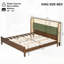 Structure de lit robuste en noyer et vert, aucun sommier nécessaire, supportant 800 lb, parfaite pour les chambres à coucher modernes et contemporaines