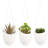 Ceramic Hanging Planter-1662055468