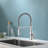 Vetta Pull Out Kitchen Faucet-100462975
