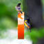 Dareen Hanging Tray Bird Feeder-932071796
