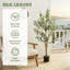 120cm Plant