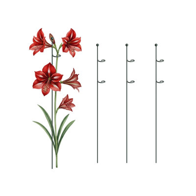 Loop Style Metal Garden Plant Support Stakes