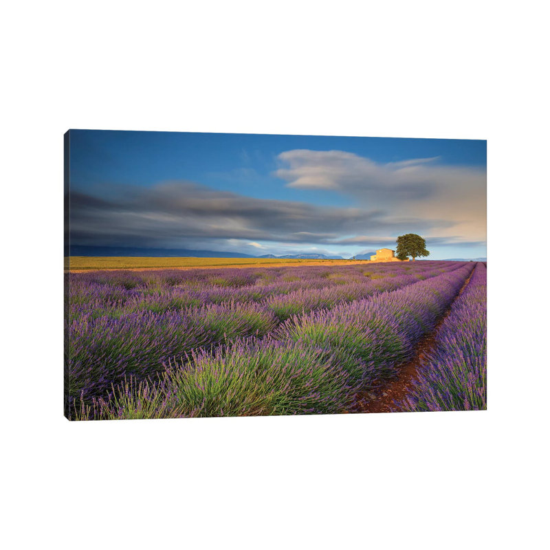 France, Provence, Valensole Plateau. Lavender Rows And Farmhouse. by Jaynes Gallery - Wrapped Canvas Print