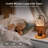 Candle Warmer Lamp with Timer & Dimmer - Adjustable Height with Gold Crystal Shade - Includes 2 Bulbs for Wax Melts-1384675113