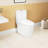 White Ceramic Toilet, 1.1/1.6 , Elongated, Comfortable, Soft Close Seat, & , T036wt One Comfort Height, White,