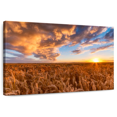 Harnek Wheat Field Sunset View