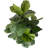 Hand-Made Primrue Artificial Fiddle Leaf Fig Tree-73559330