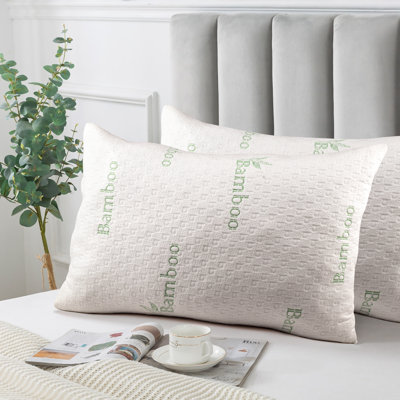 Ensemble de 2 oreillers en duvet de bambou