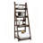 Armisha Ladder Bookcase