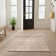 Dakota Fields Burrillville Taupe Bohemian Machine Washable Indoor Rug