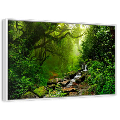 Forest Stream