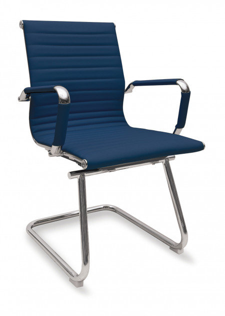 Baha Conference Chair