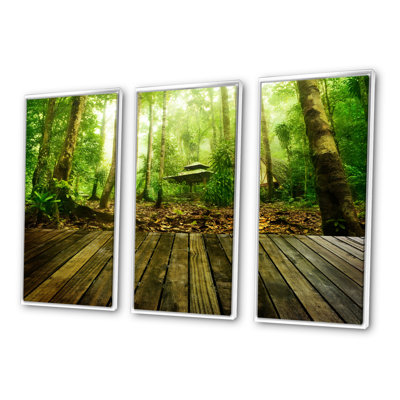 " Wooden Platform In Green Forest " 3 - Pieces
