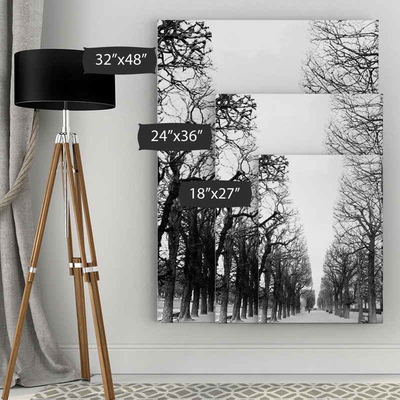 « french avenue » par danita delimont reproduction, reproduction de photo sur toile tendue encadrée