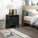 Allysyn 22.7" 2 Drawer Nightstand