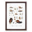 Snails & Shells by A.A. Gould - Picture Frame Art Prints-55618755-55618756