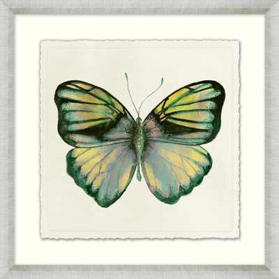 Watercolor Butterfly 4 Framed Painting