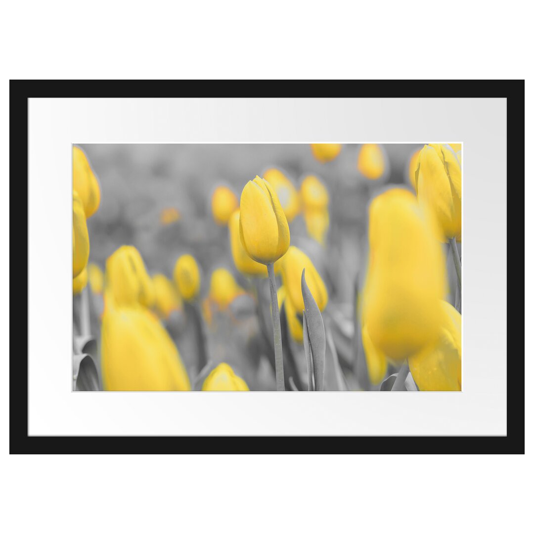 Gerahmter Kunstdruck Yellow Sea of Tulips