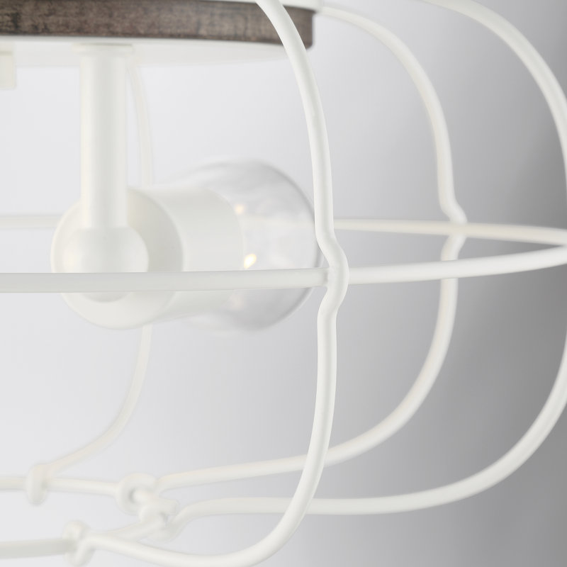 Lyam 2-Light Caged 14" W Flush Mount, White