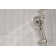 Precept Full/Standard Handheld Shower Head 1.5 GPM GPM