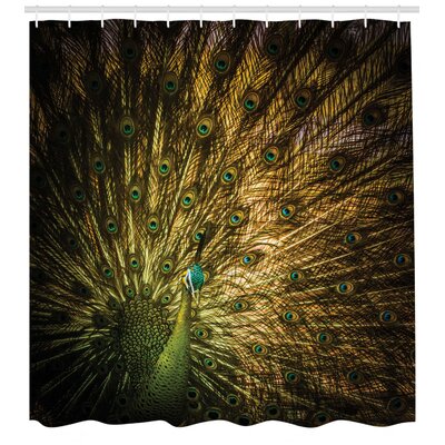 Peacock Shower Curtain Set + Hooks -  Ambesonne, sc_16423_69x105