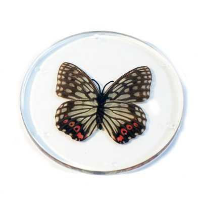Silicone Round 1 Piece Coaster