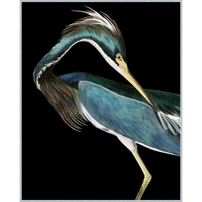 Stately Heron " Stately Heron 2 " by Thom Filicia