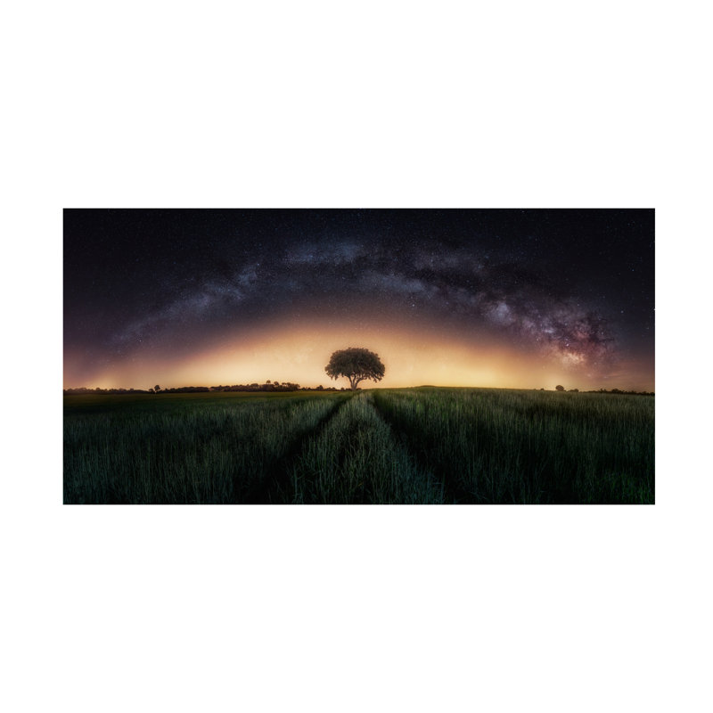Œuvre sur toile «bolivera» sur un arbre solitaire, H 10 po x l 19 po