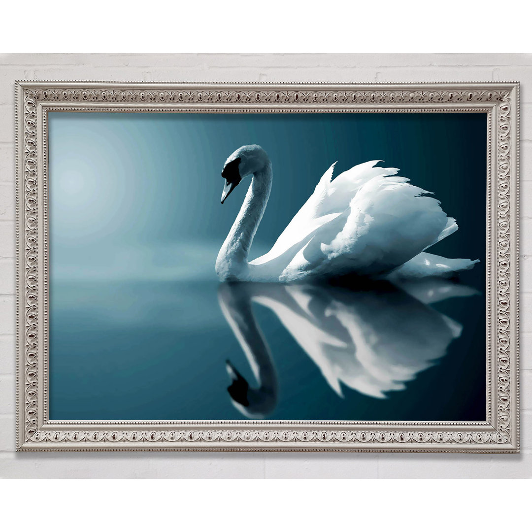 Reflections Of A Swan - Einzelne Bilderrahmen Kunstdrucke