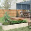 Lit de jardin surélevé en métal galvanisé 7,9 pi x 2 pi 1,4 pi, pot de fleurs d'extérieur avec rebord, pour planter divers légumes, lit crème - L 93 po x l 22,5 po x H 16,5 po, fleurs de bordure, herbes et
