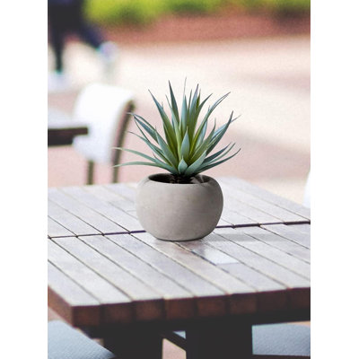 Ensemble de pots Evergreen