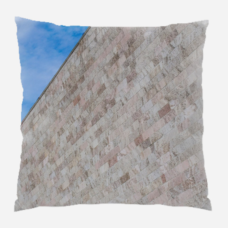 Coussin décoratif Wall