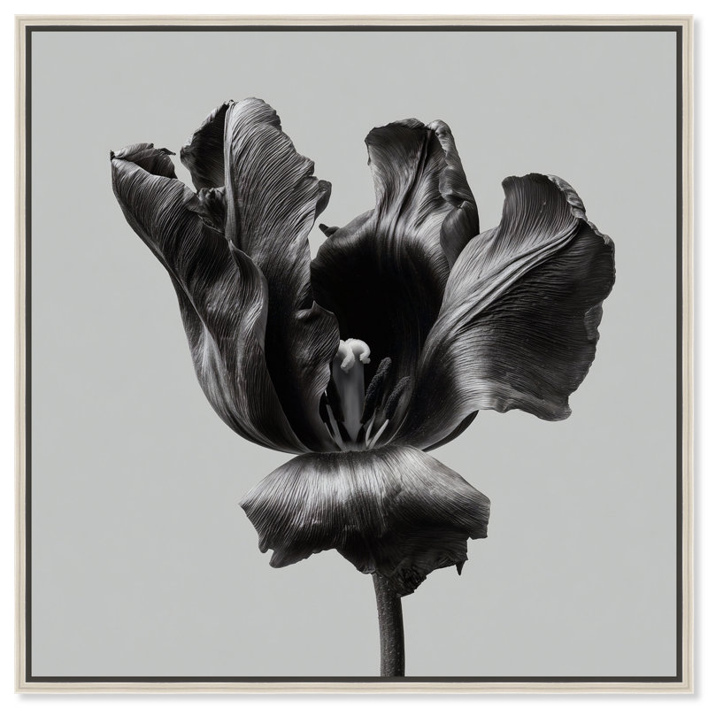 Tidal Wilt II Print by Oliver Gal, 25"H x 25"W, Silver Floater Frame